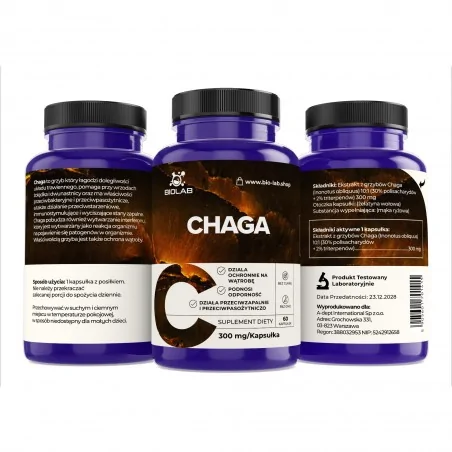 Chaga, 10:1 Extrakt 300 mg, 60 Kapseln
