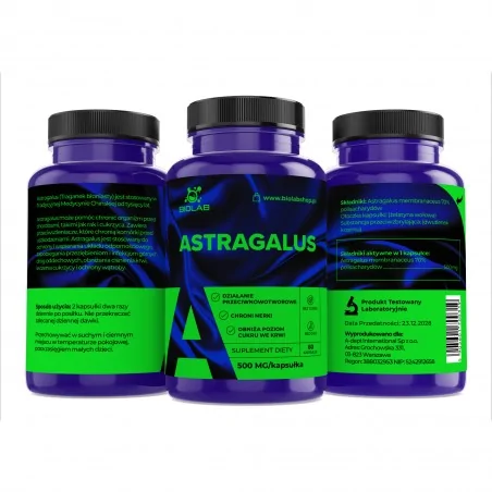 Astragalus, hohe Konzentration 70% Polysaccharide 500 mg, 60 Kapseln