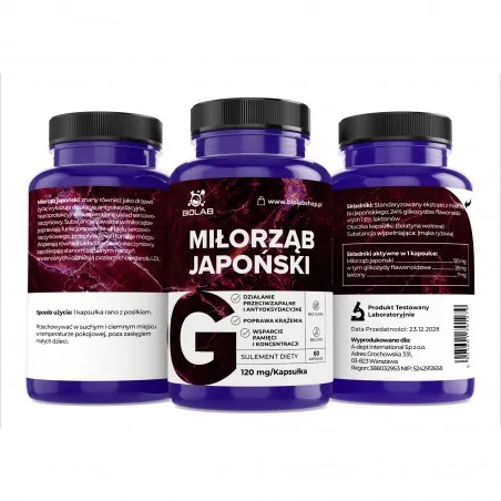 Miłorząb japoński (Ginkgo Biloba) ekstrakt standaryzowany 120 mg, kapsułki 60 szt.