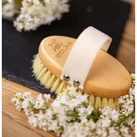 Brosse de massage à sec