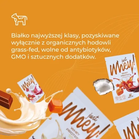 Just Whey! odżywka białkowa WPC premium Nutri Whey™, saszetka 35g