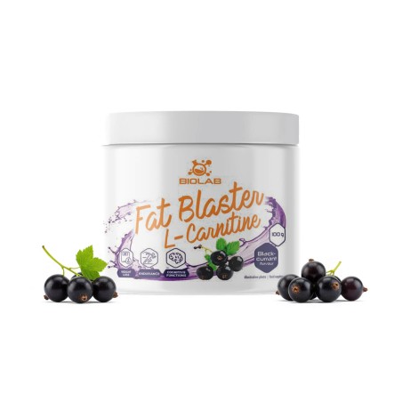 Fat Blaster, ALCAR + fumaran L-karnityny, proszek 100g