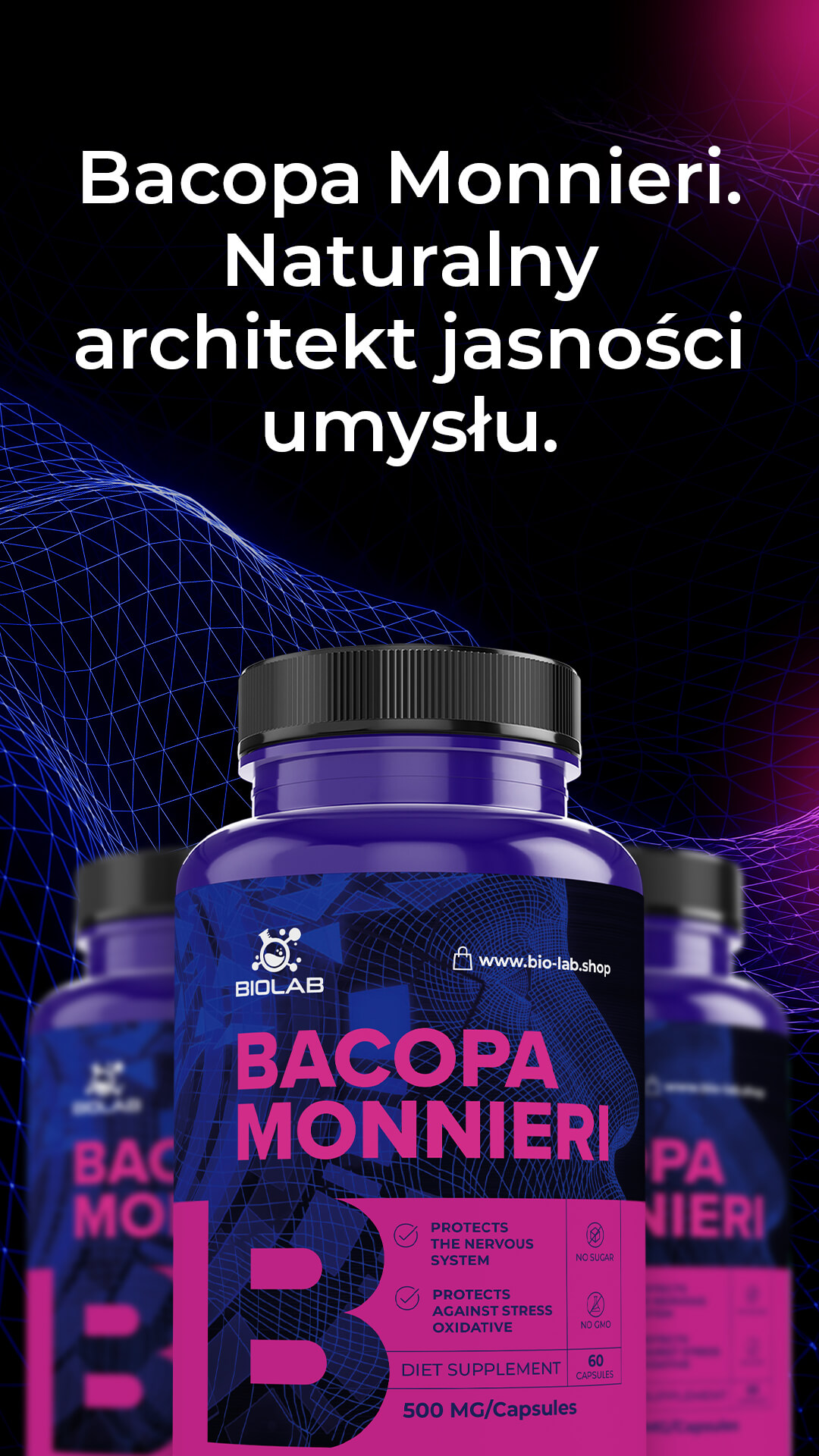Bacopa Monnieri – wspiera koncentrację, pamięć i zdrowie wątroby