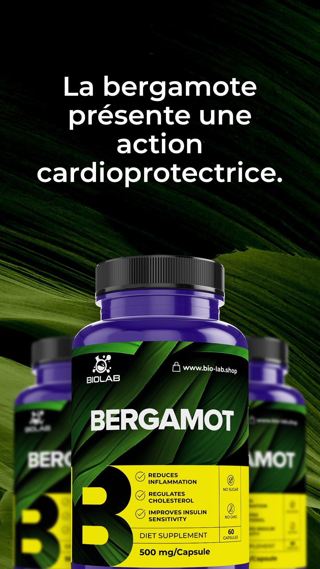 bergamote