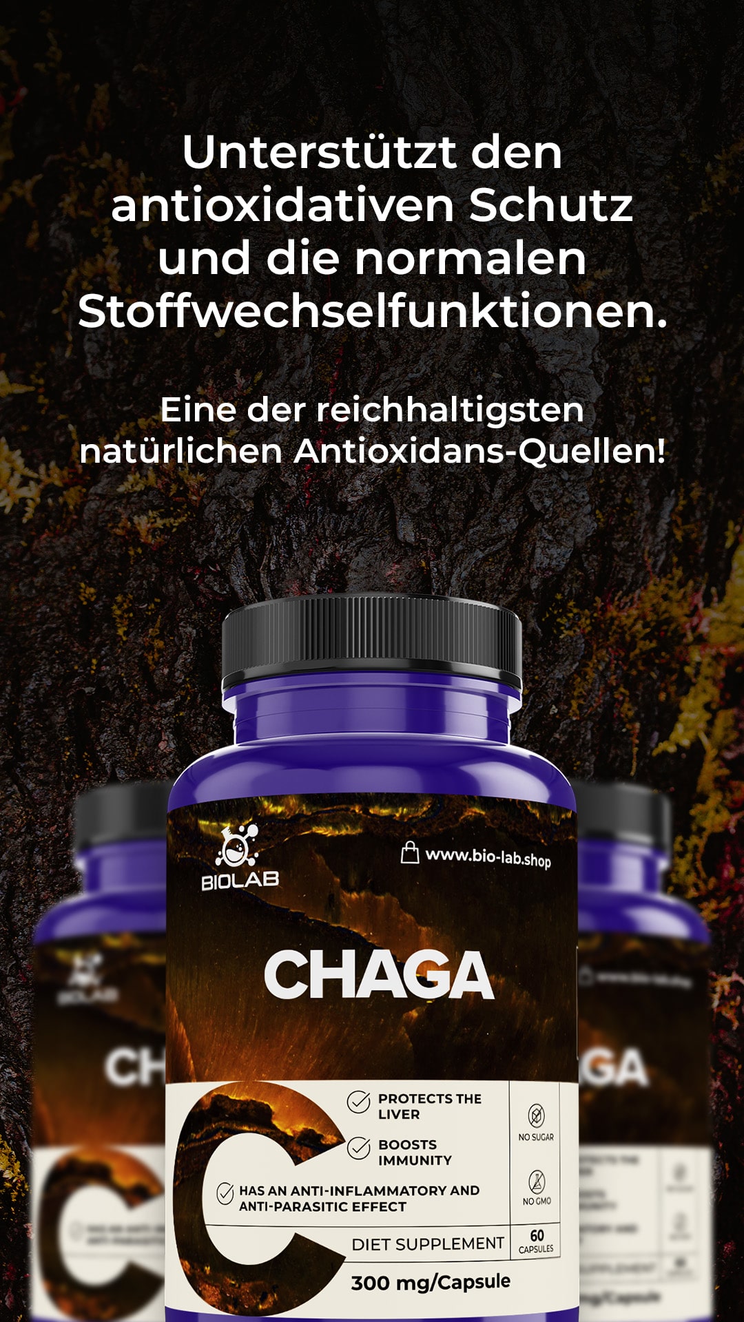 chaga