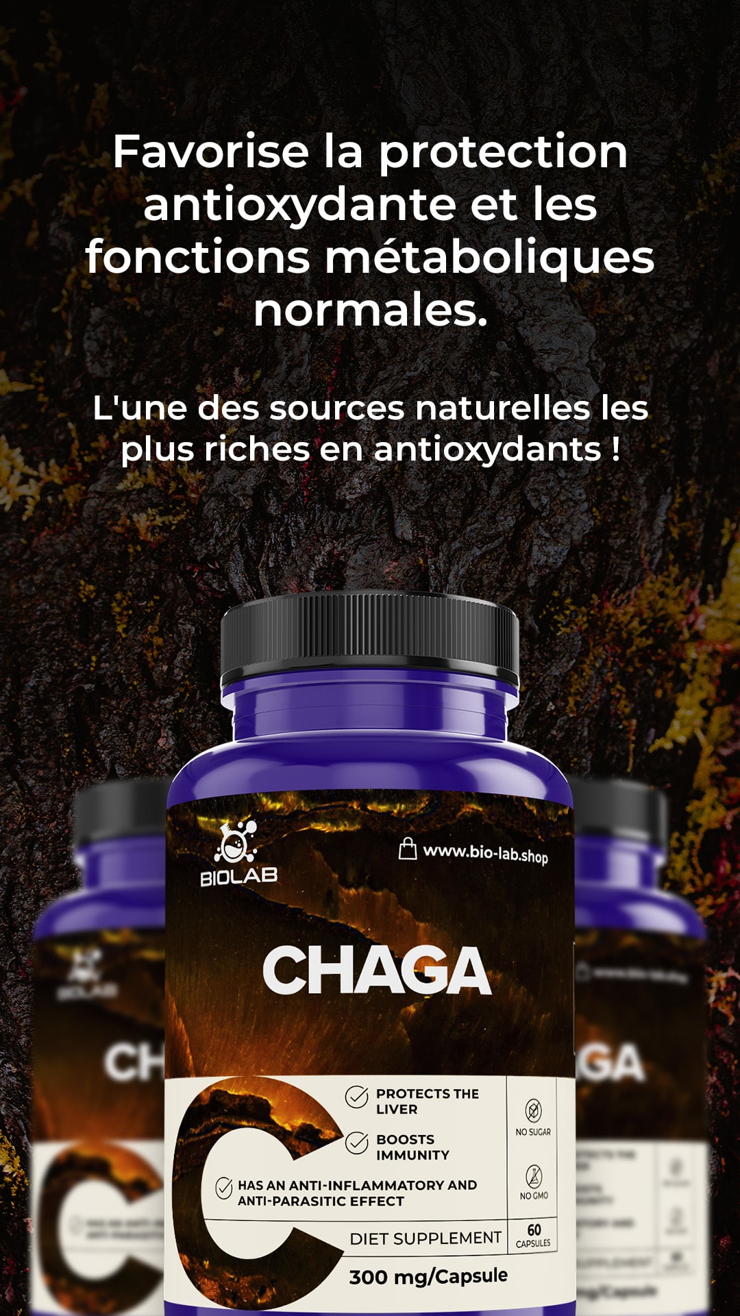chaga