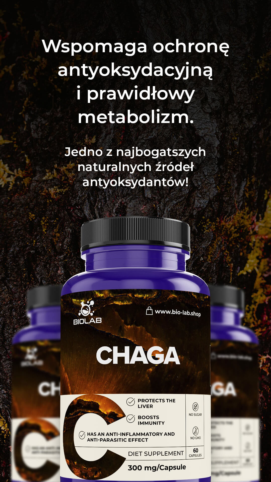 chaga