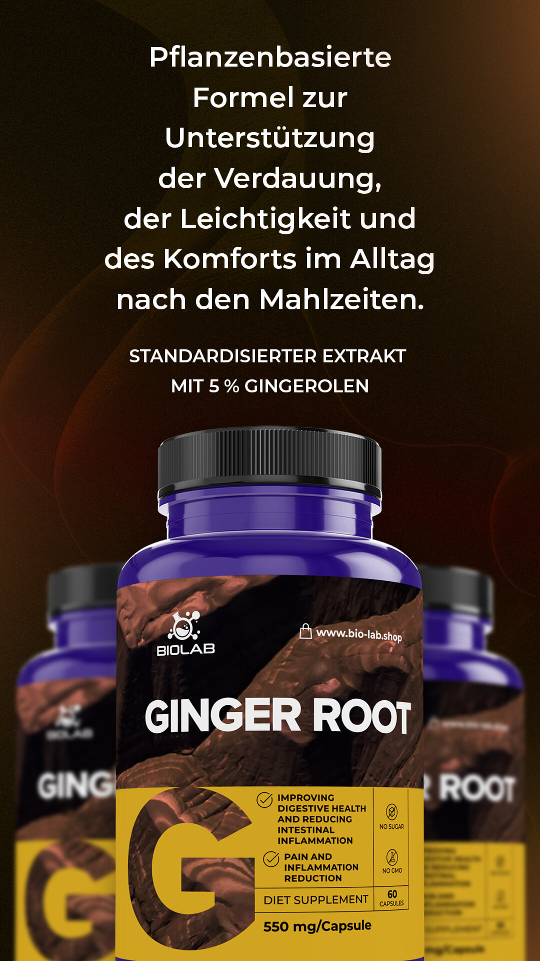 Ingwerwurzel
