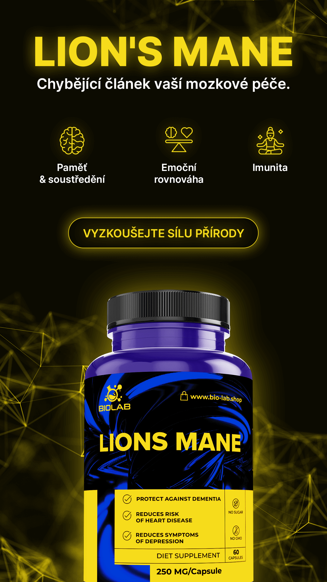 HOUBA LVÍ HŘÍVA – podporuje paměť, soustředění a duševní energii