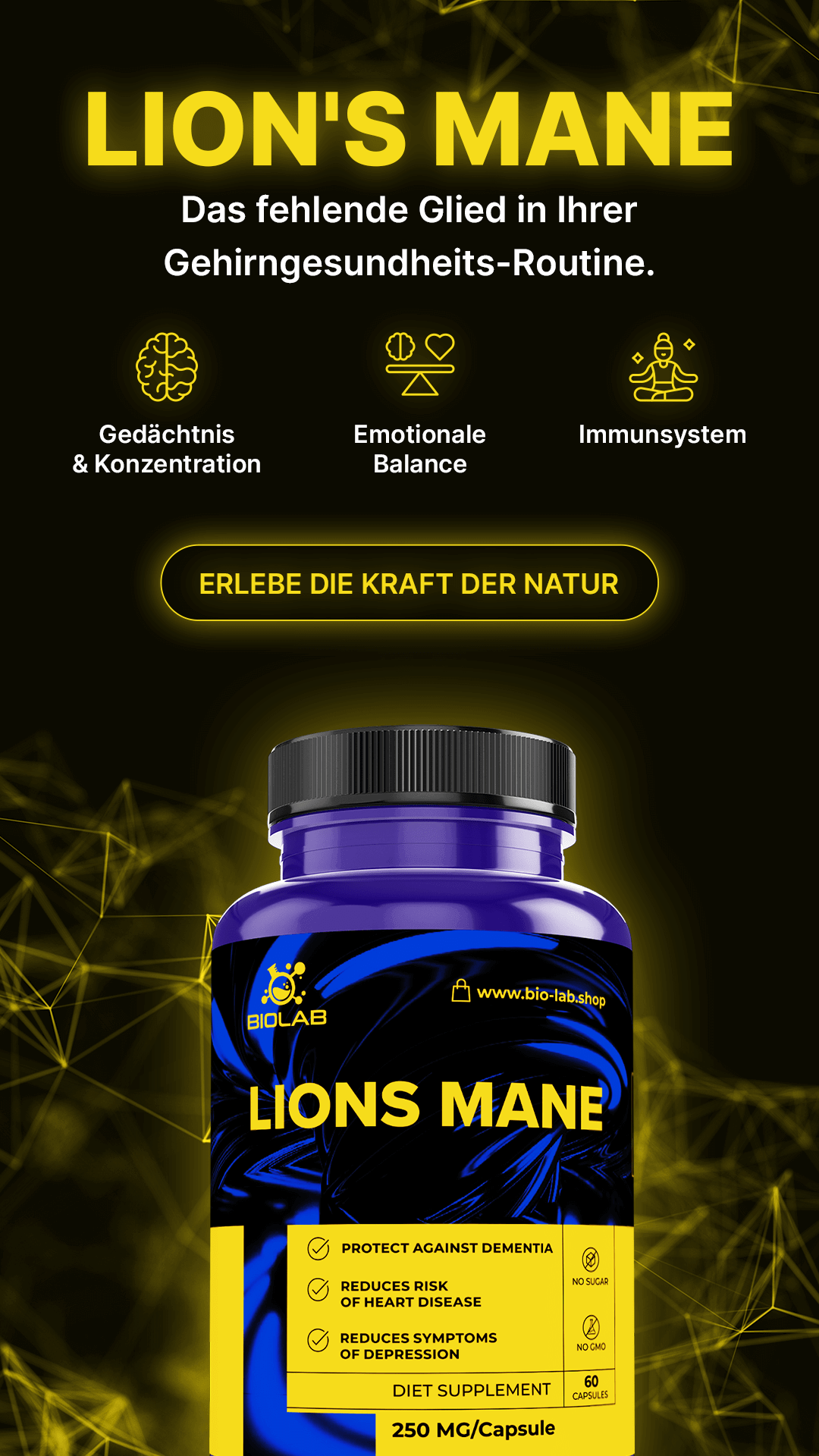 IGEL-STAMMFARB-PILZ – unterstützt Gedächtnis, Konzentration und geistige Energie