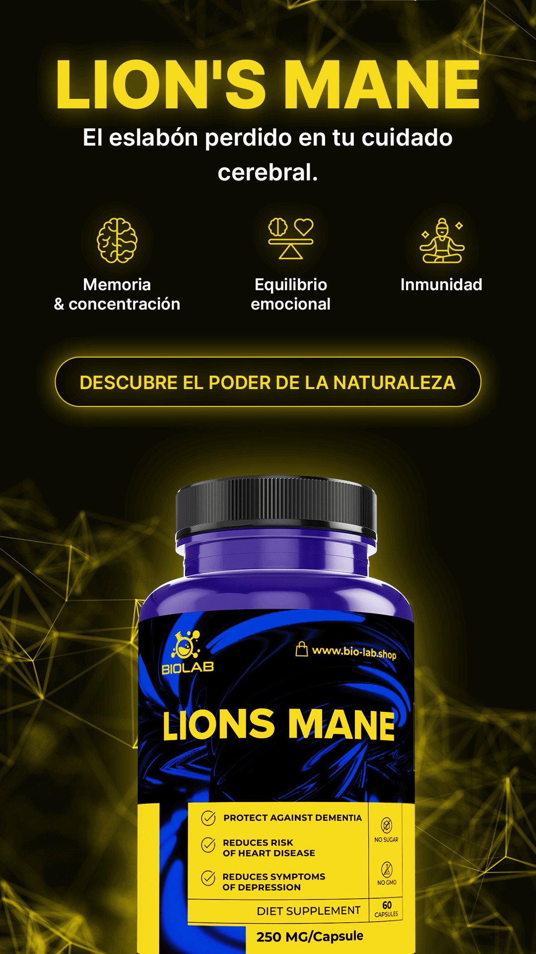 SETA MELENA DE LEÓN – favorece la memoria, la concentración y la energía mental