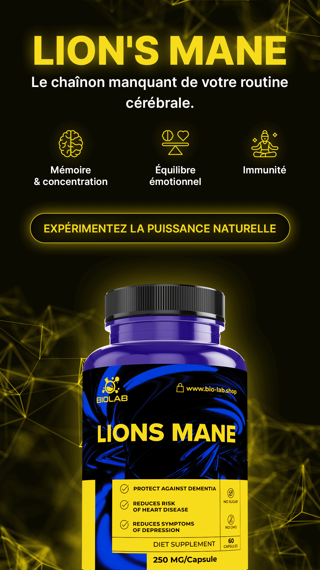 CHAMPIGNON CRINIÈRE DE LION – favorise la mémoire, la concentration et l'énergie mentale