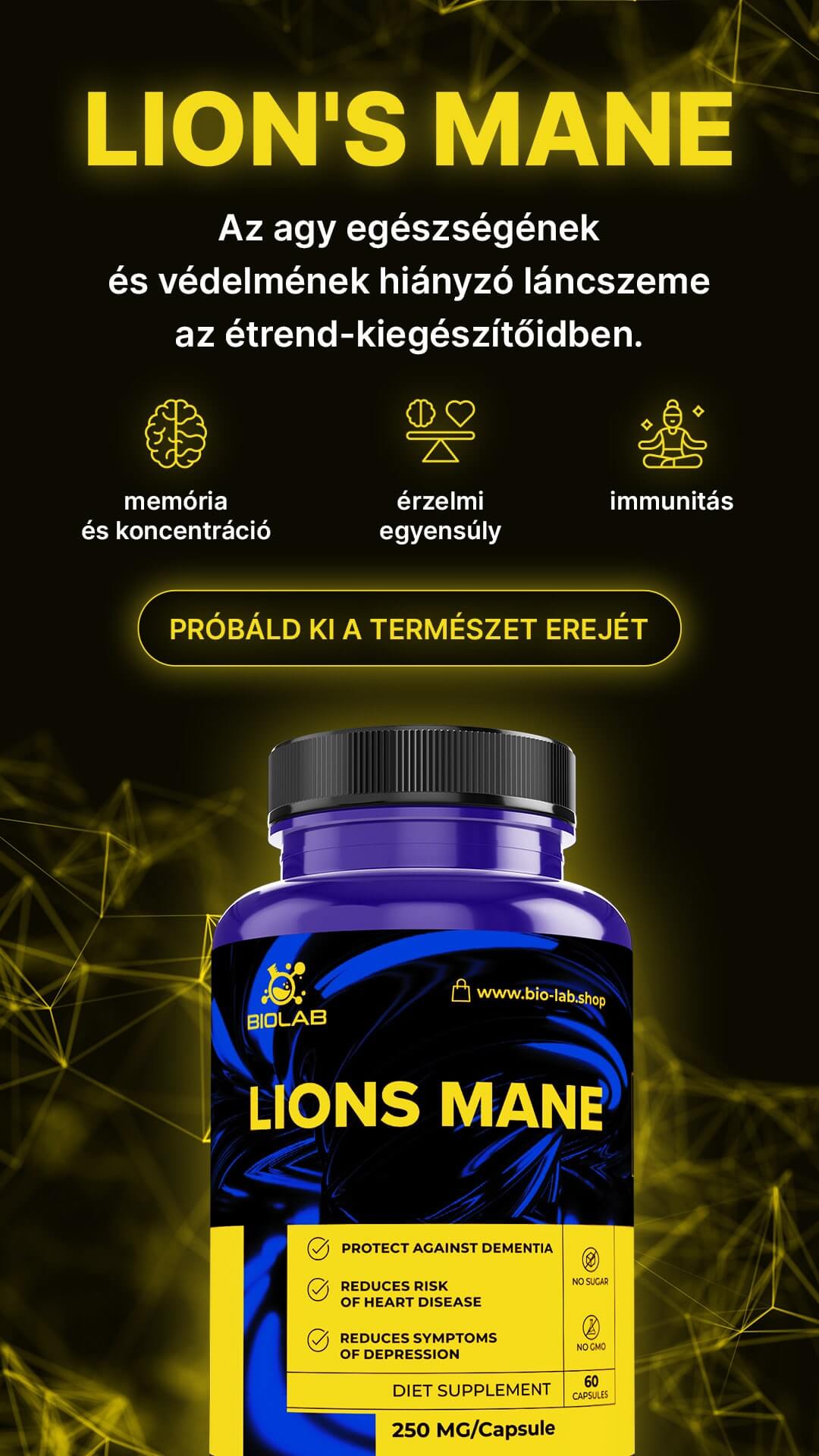 LION'S MANE MUSHROOM – supports memory, concentration and mental energy