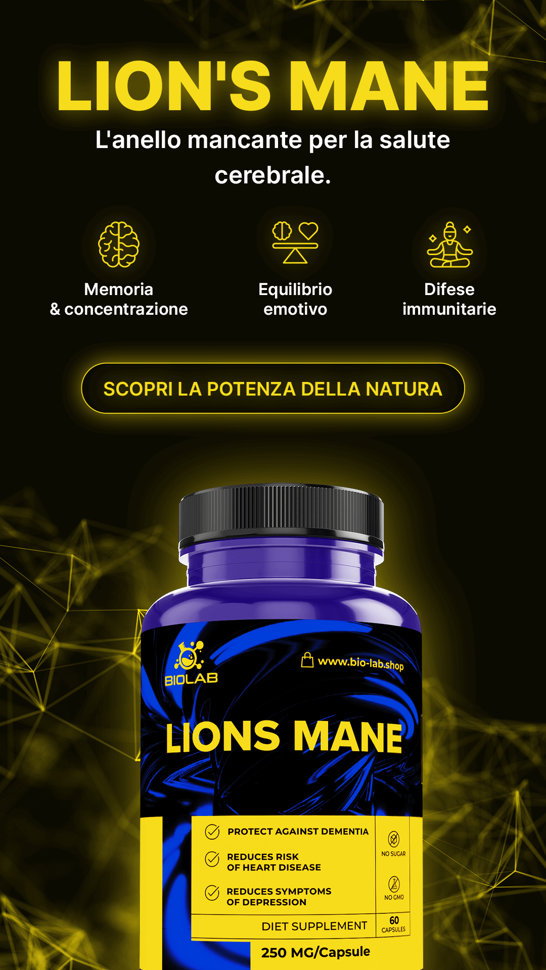 FUNGO CRINIERA DI LEONE – supporta la memoria, la concentrazione e l'energia mentale