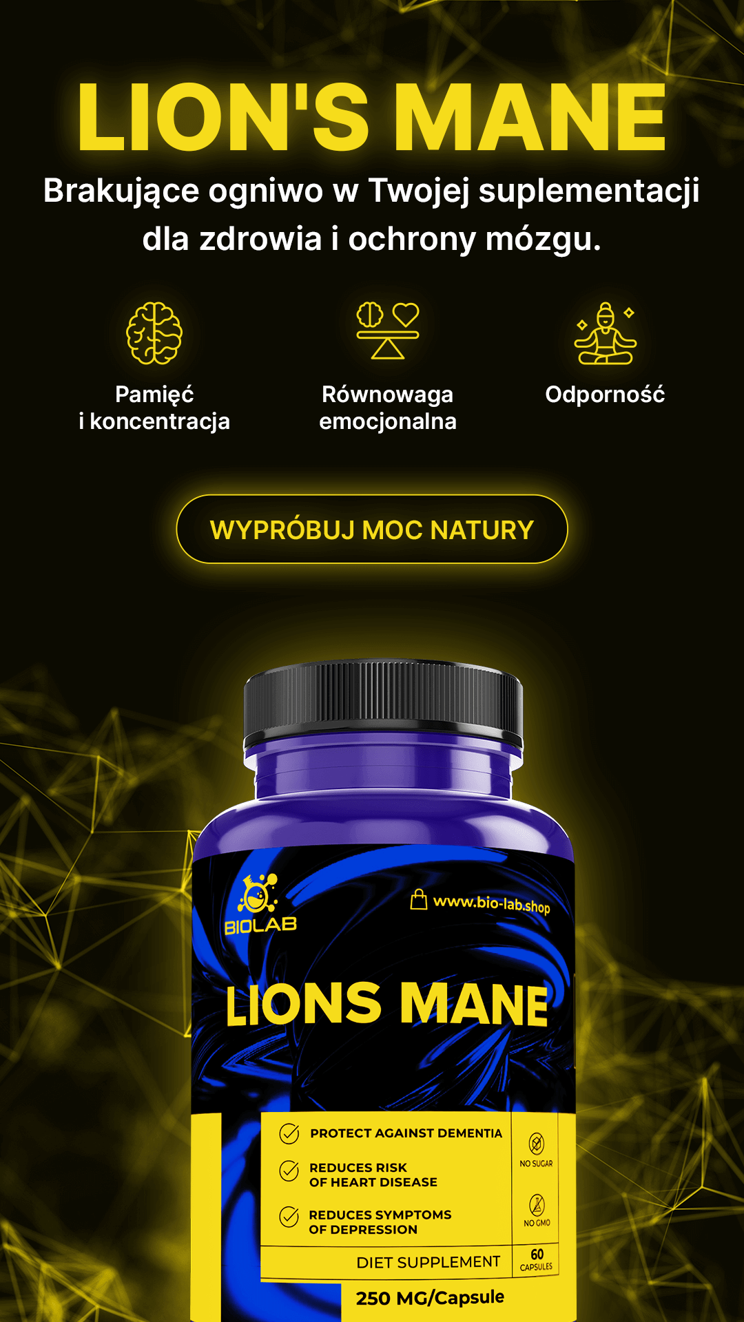 GRZYB LION'S MANE – wspiera pamięć, koncentrację i energię umysłową