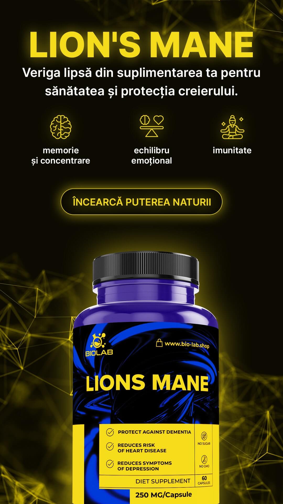 LION'S MANE MUSHROOM – supports memory, concentration and mental energy