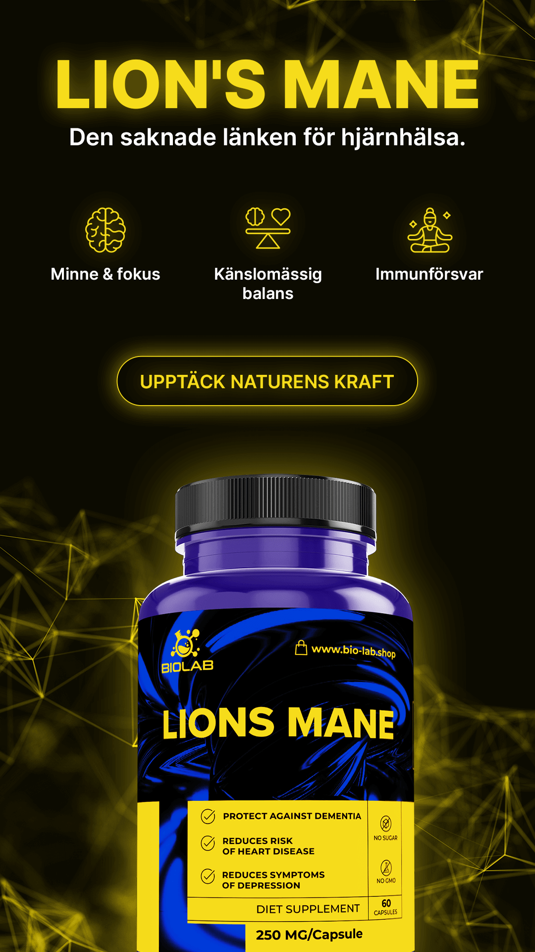 LEJONSMANSVAMP – stödjer minne, koncentration och mental energi