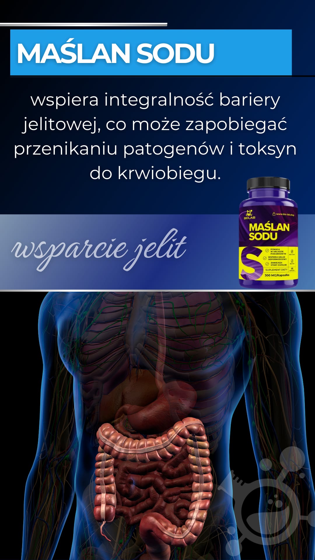 Maślanu Sodu 300 mg – wsparcie integralności bariery jelitowej i równowagi mikrobiomu
