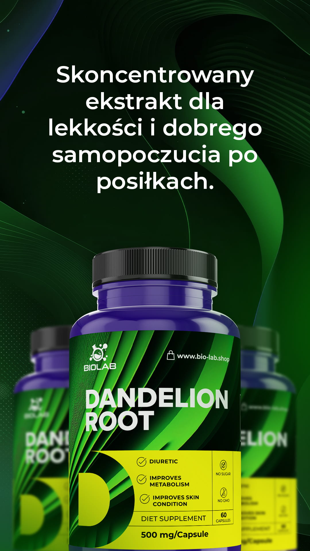 Korzeń mniszka lekarskiego