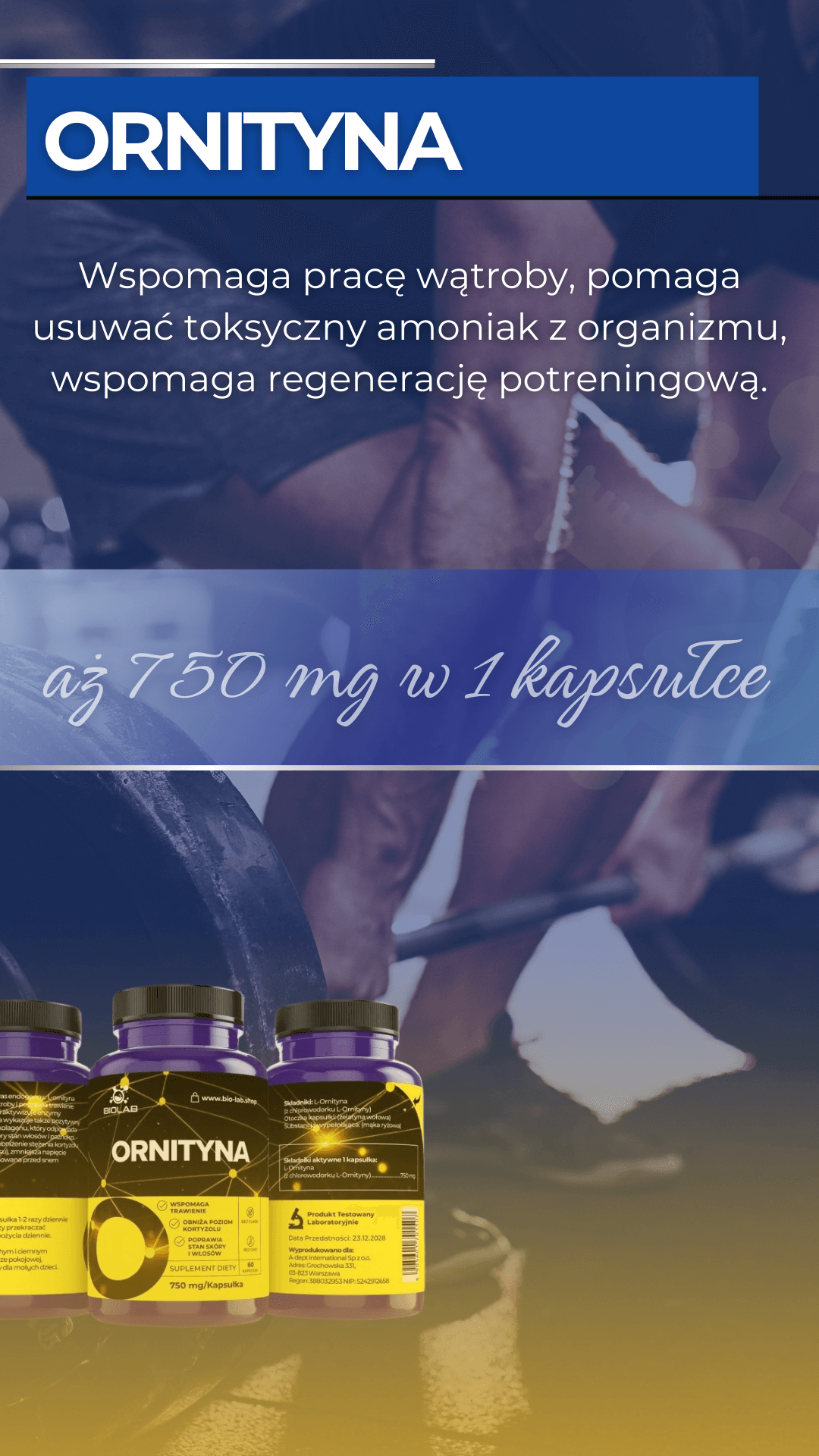 suplement diety ornityna