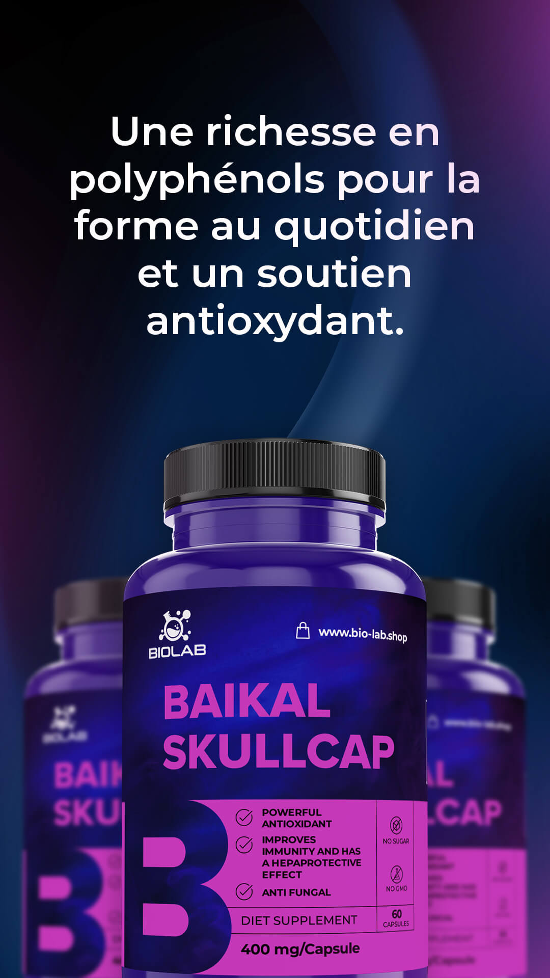 Scutellaria baicalensis