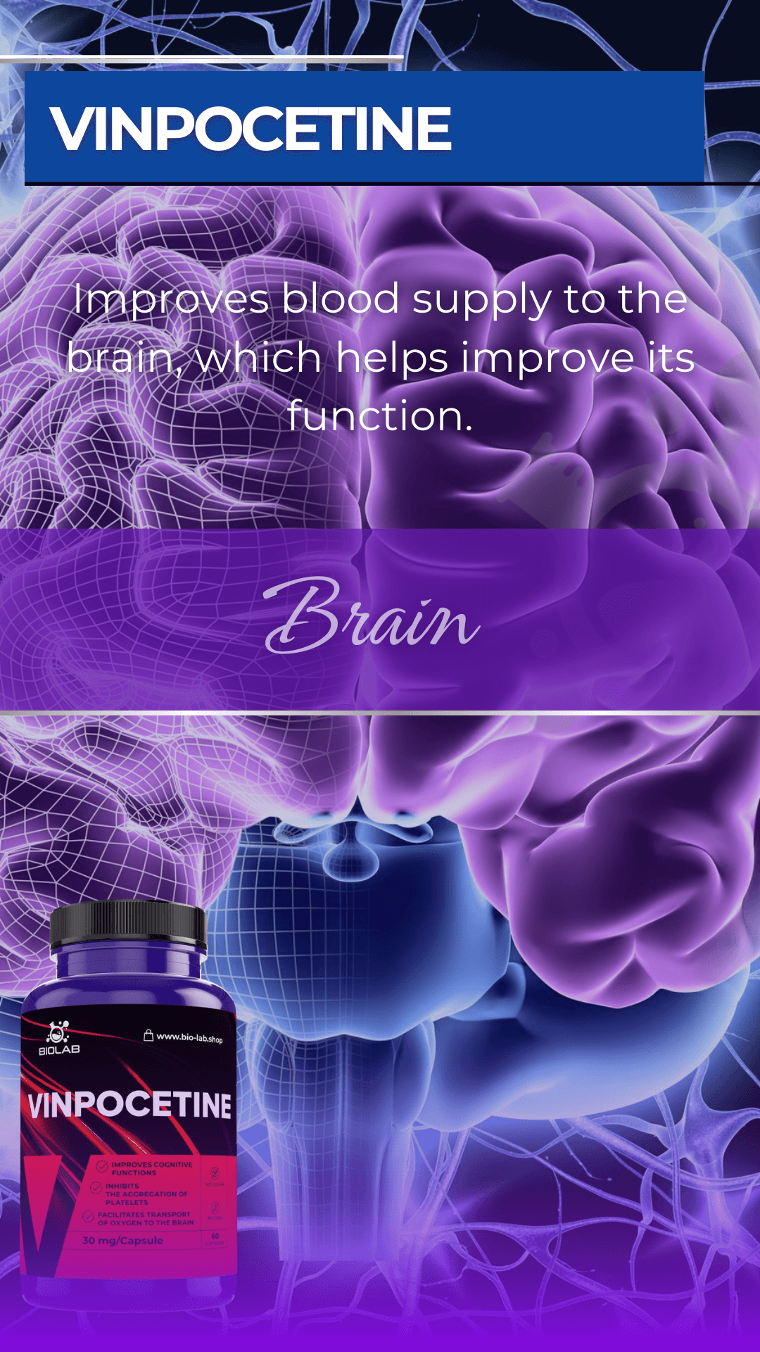 vinpocetine dietary supplement