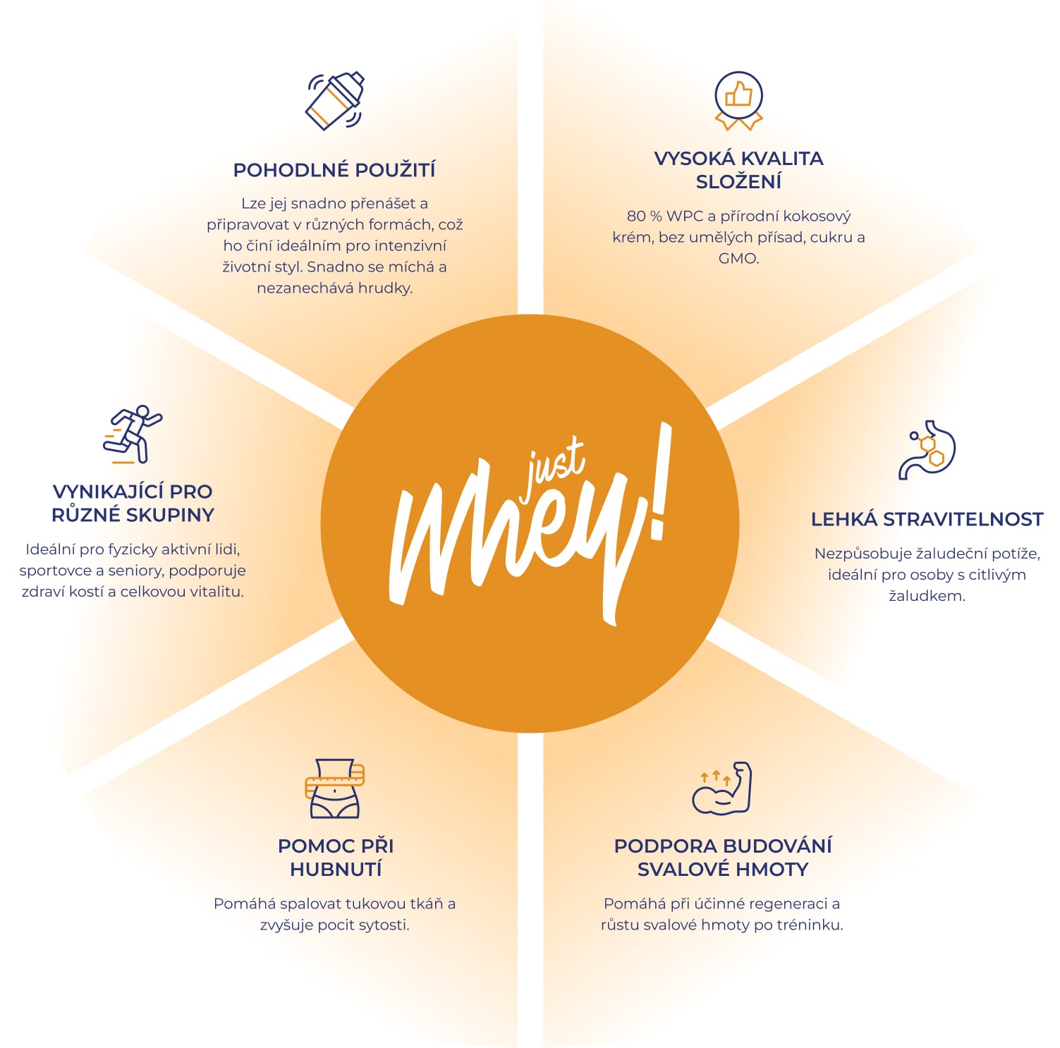  Infografika Just Whey s logem uprostřed a ikonami zobrazujícími klíčové výhody produktu.