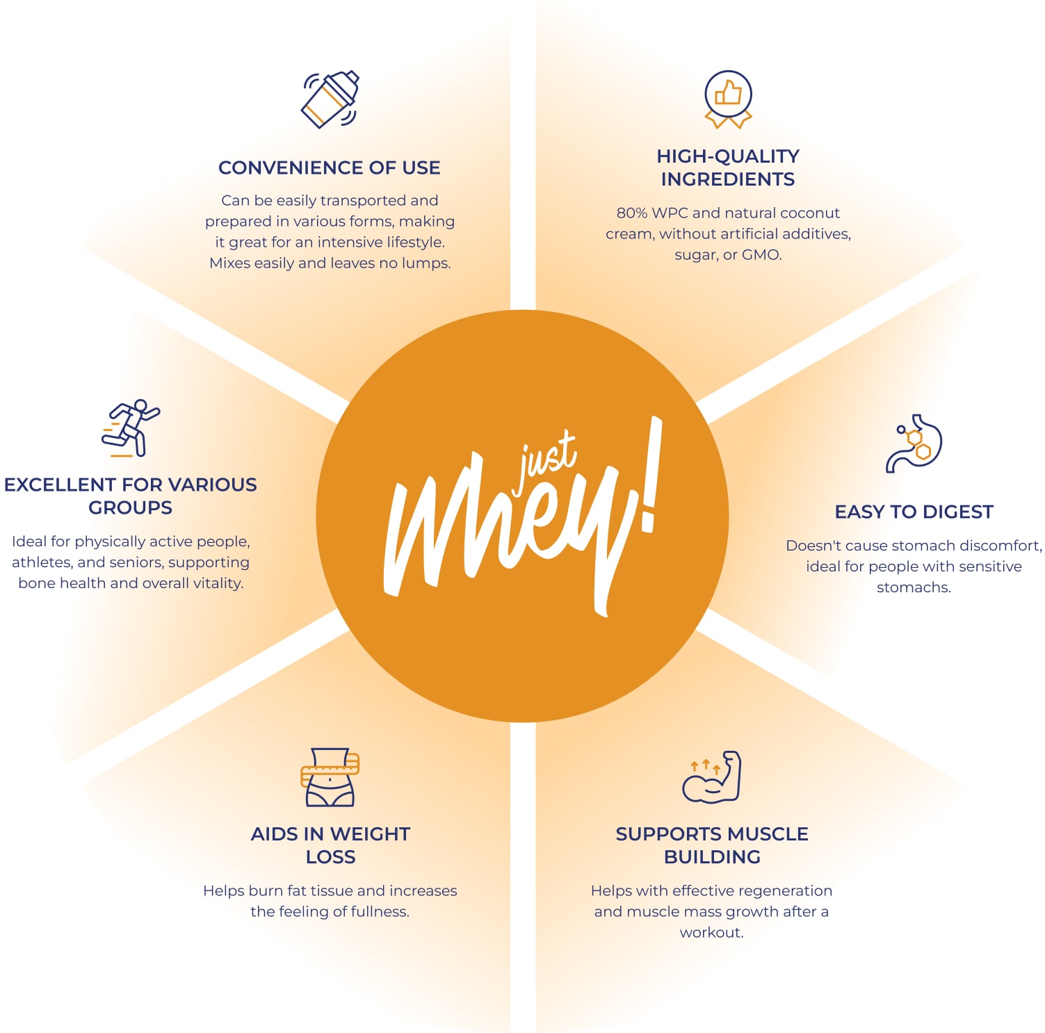 Just Whey infographic with the logo in the centre and icons showing the product&rsquo;s key benefits.