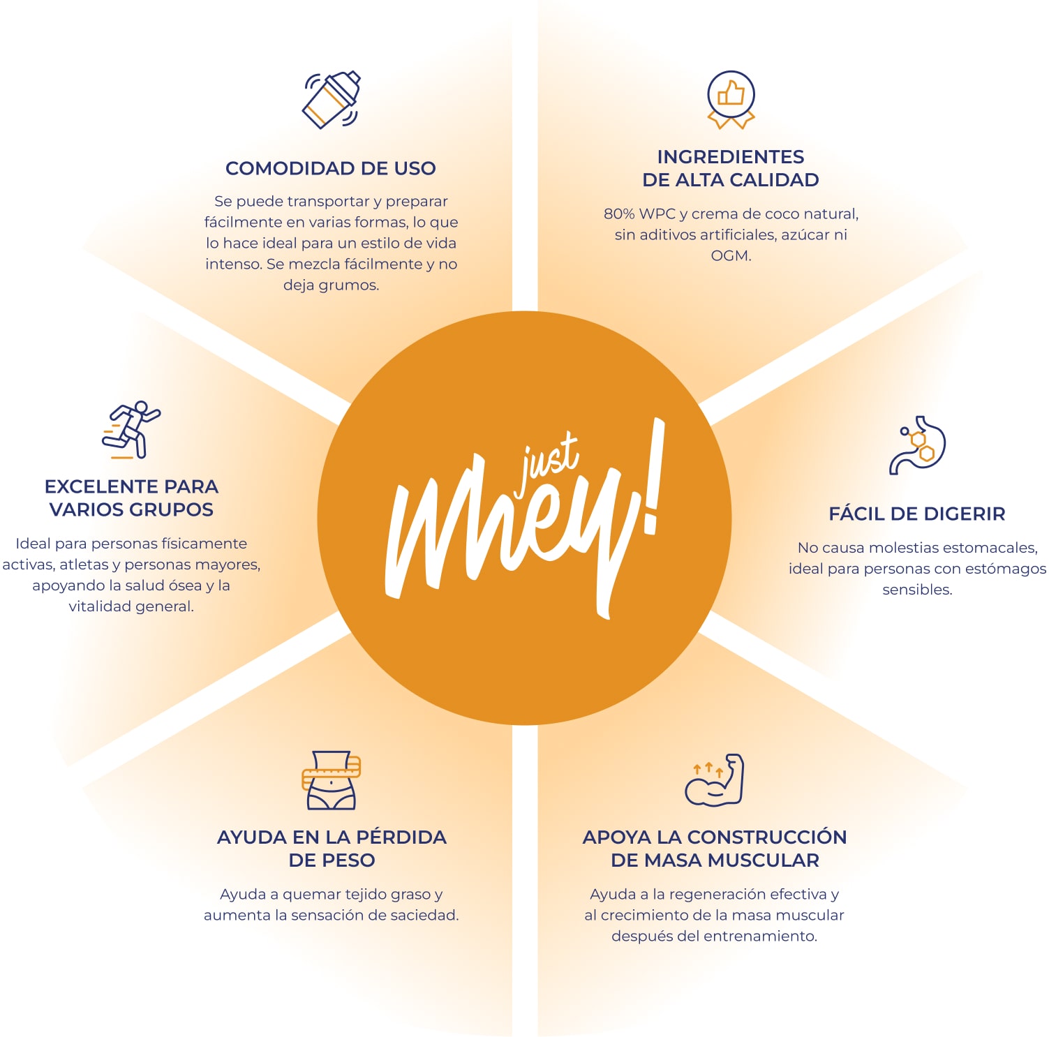 Infografía Just Whey con el logotipo en el centro e íconos que muestran los beneficios clave del producto.