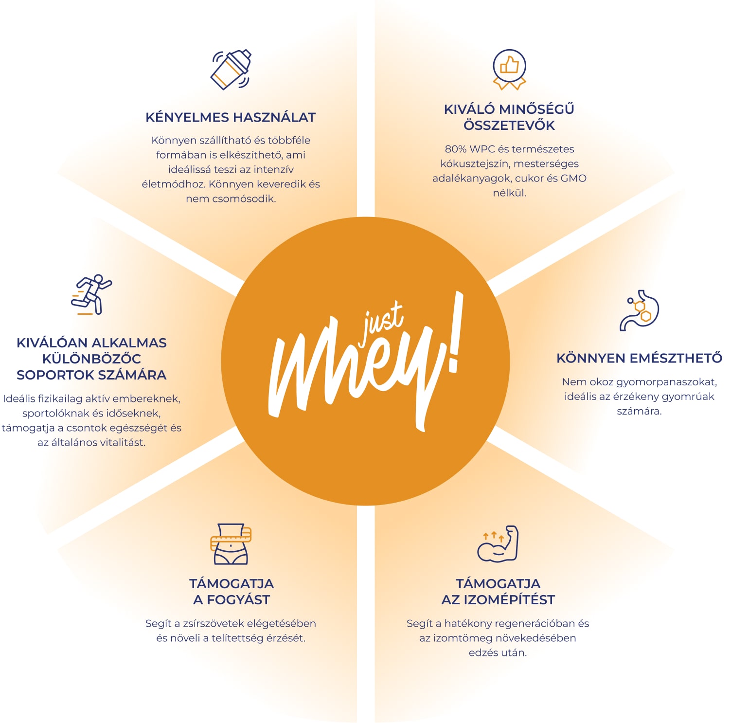  Just Whey infografika a logóval a közepén és ikonokkal a termék fő előnyeinek bemutatására.