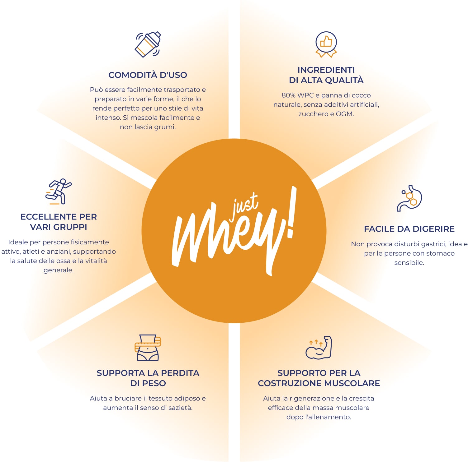 Infografica Just Whey con il logo al centro e icone che illustrano i principali benefici del prodotto.
