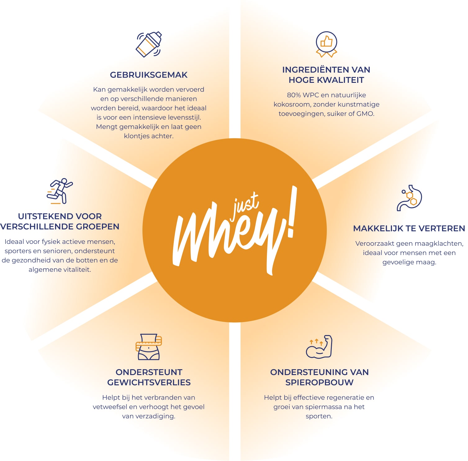 Just Whey-infographic met het logo in het midden en pictogrammen die de belangrijkste productvoordelen tonen.