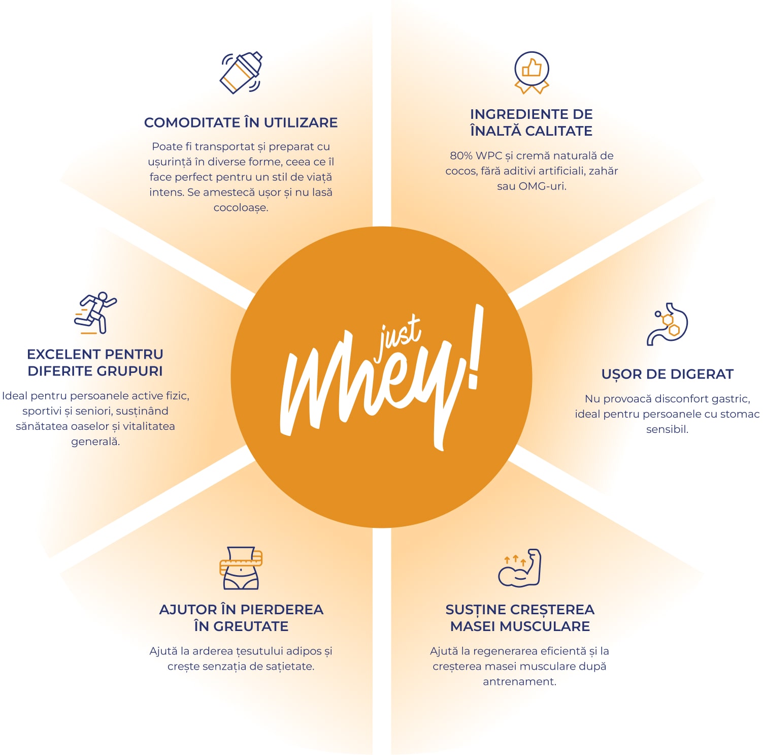 Infografic Just Whey cu logo-ul în centru și pictograme care ilustrează principalele beneficii ale produsului.