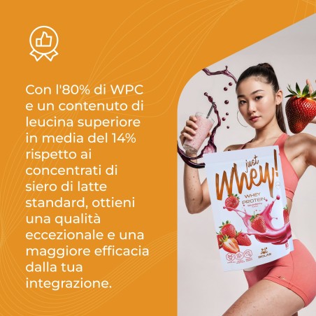 Just Whey! proteine del siero del latte WPC premium Nutri Whey™, 1 kg