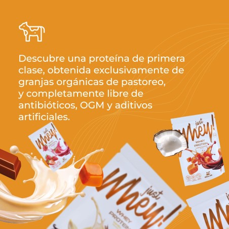 Just Whey! proteína en polvo WPC premium Nutri Whey™, 1 kg