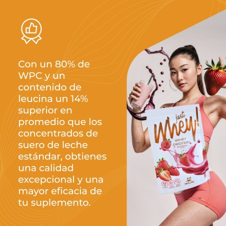 Just Whey! proteína en polvo WPC premium Nutri Whey™, 1 kg