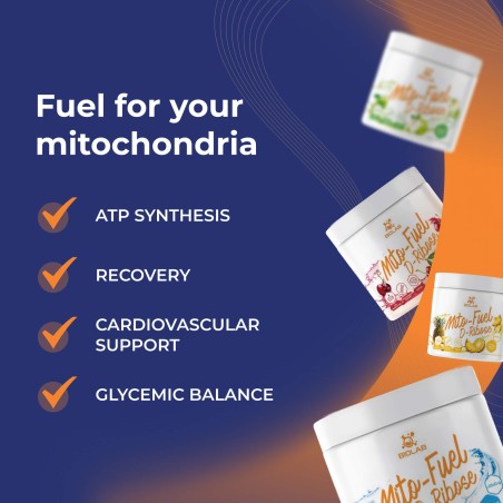 Mito-Fuel D-Ribose powder, 250g