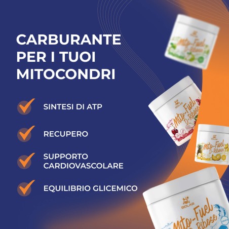 Mito-Fuel D-Ribosio in polvere, 250g