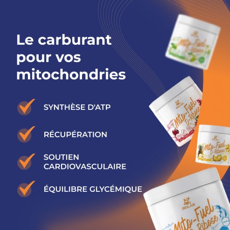 Mito-Fuel D-Ribose en poudre, 250g
