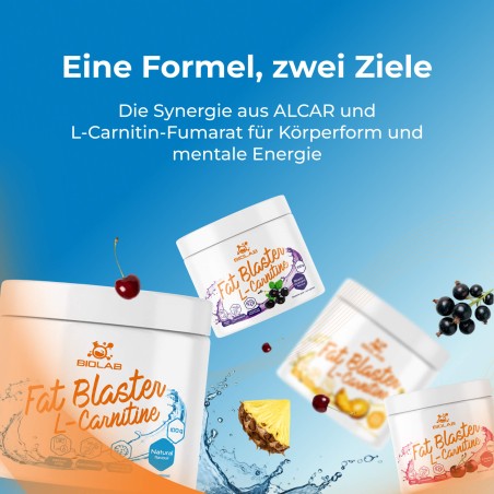 Fat Blaster, ALCAR + L-Carnitin-Fumarat, Pulver 100 g