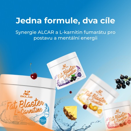 Fat Blaster, ALCAR + L-karnitin fumaran, prášek 100 g