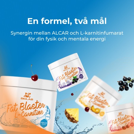 Fat Blaster, ALCAR + L-karnitinfumarat, pulver 100 g