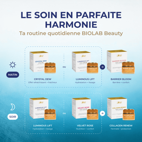 Barrier Bloom Face Cream, crème pour le visage à base de Sodium PCA et d'huile de jojoba