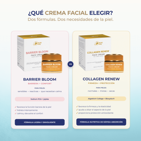 Collagen Renew Face Cream, crema facial con Algaktiv® Collage y Bloxydur®