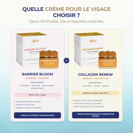 Collagen Renew Face Cream, crème pour le visage à base d'Algaktiv® Collage et de Bloxydur®