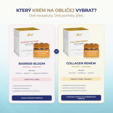 Collagen Renew Face Cream, pleťový krém s Algaktiv® Collage a Bloxydur®