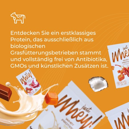 Just Whey! Proteinpulver WPC premium Nutri Whey™, Beutel 35g