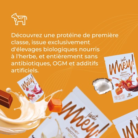 Just Whey! poudre de protéine WPC premium Nutri Whey™, sachet 35g