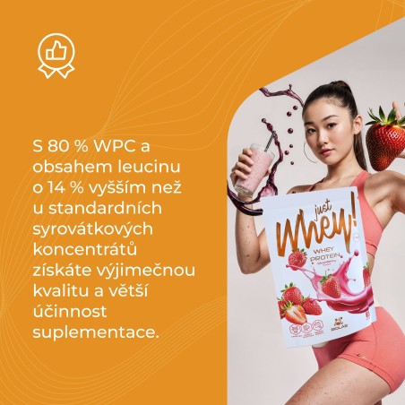 Just Whey! Syrovátkový protein WPC premium Nutri Whey™, sáček 35g