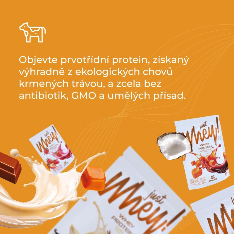 Just Whey! Syrovátkový protein WPC premium Nutri Whey™, sáček 35g